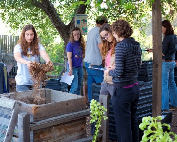 Check Out: Solana Center Backyard Composting Workshops