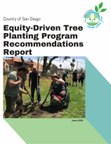 Equity-Driven Tree Planting Program Recommendations Report cover page