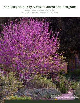San Diego County Landscape Program Recommendations Document San Diego County Landscape Program Recommendations Document